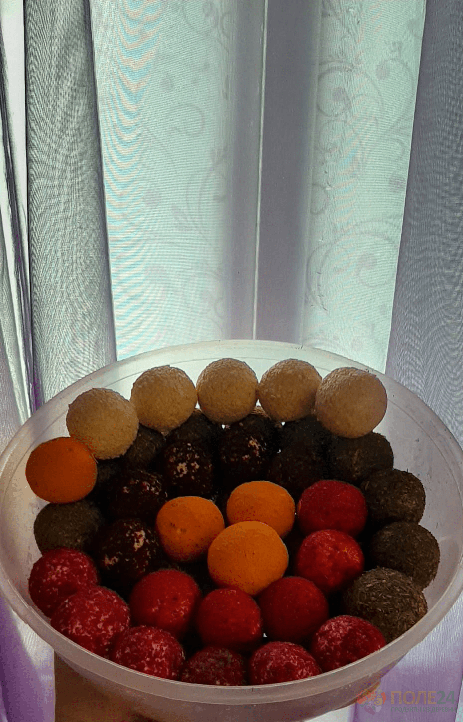 изображение_2023-06-10_150816104