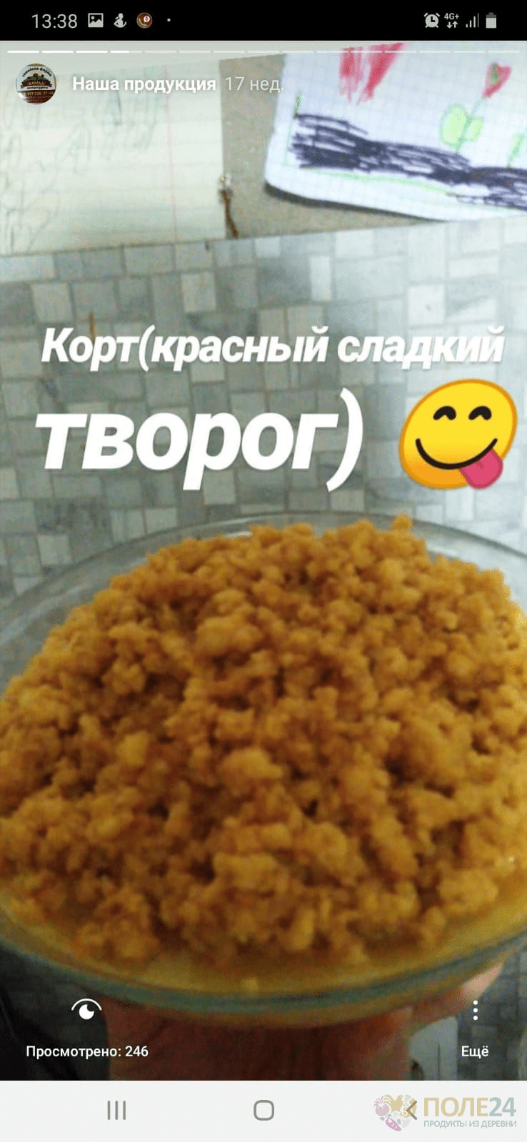 изображение_2023-06-10_155113861