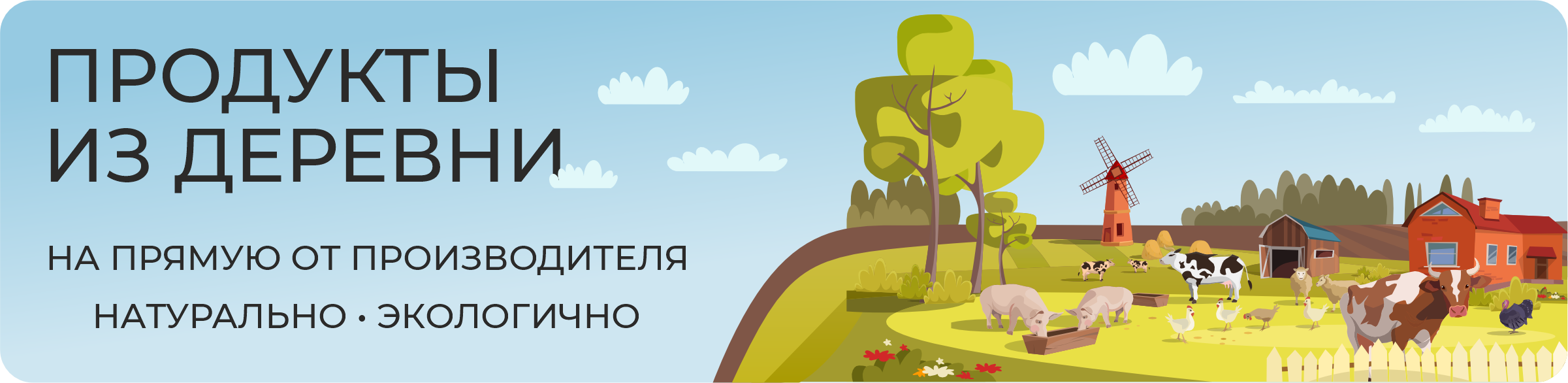 Баннер на главной